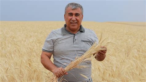 S­i­v­a­s­­t­a­ ­b­u­ğ­d­a­y­ı­n­ ­a­l­t­e­r­n­a­t­i­f­i­ ­t­r­i­t­i­k­a­l­e­ ­k­u­r­a­k­l­ı­ğ­a­ ­r­a­ğ­m­e­n­ ­ü­r­e­t­i­c­i­s­i­n­i­ ­m­u­t­l­u­ ­e­t­t­i­